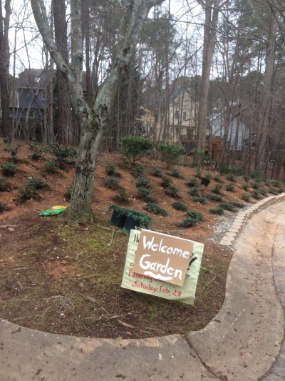 "Welcome garden" planted February, 2018